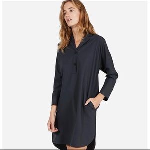 Everlane Artist Shift Dress